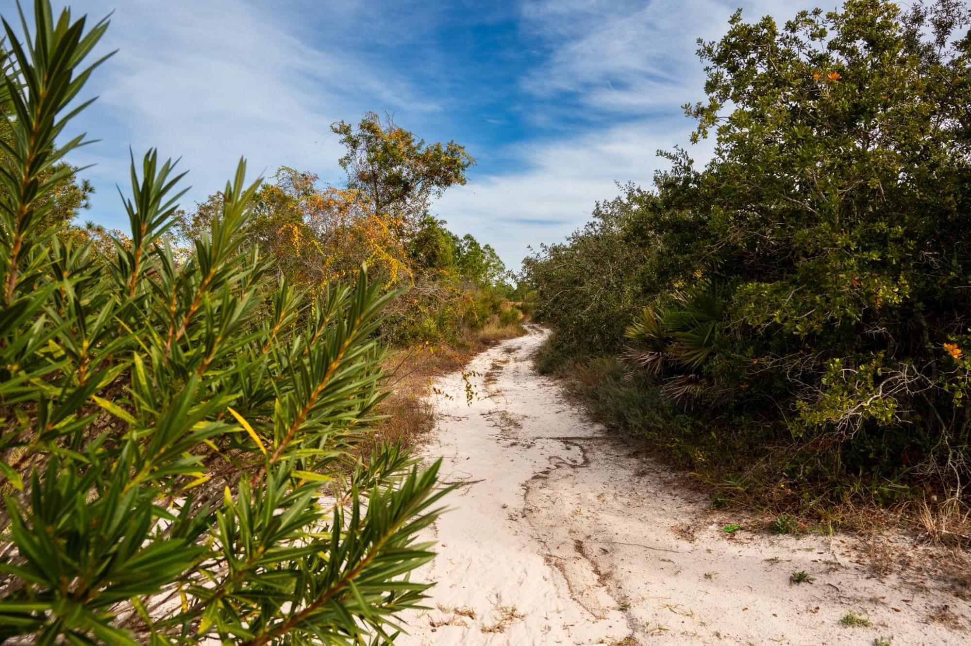 Cottage Beach House Steps From Beach 3 Bedroom 2 Bath Gulf Shores Bagian luar foto